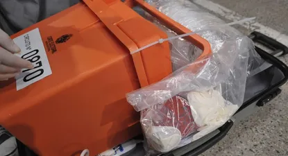 todo lo que tenes que saber para votar este domingo