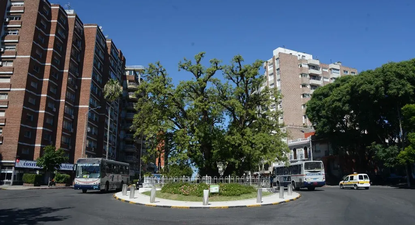 El Observador | Arbolado-urbno-DB_02.jpg