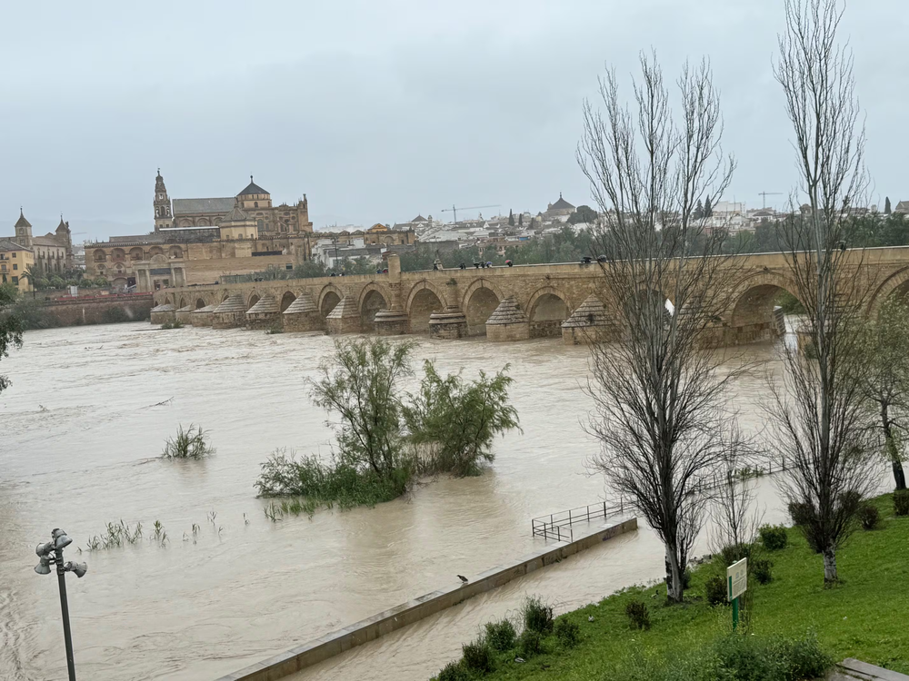El agua pone al límite al puente romano en Córdoba&nbsp;