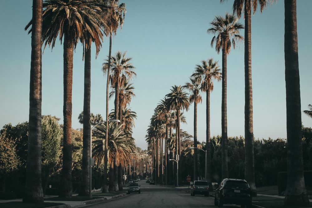 La empresa The Vanguard está localizada en Beverly Hills. Pexels