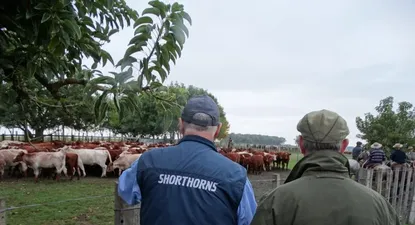 El Observador | 0006750082.webp