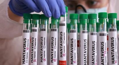El Observador | hantavirus ok