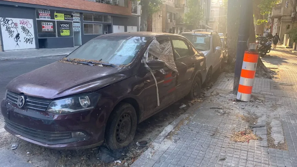 Los vehículos incautados están estacionados a las afueras de la Dirección de Interpol