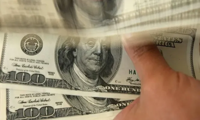 Leve suba del dólar