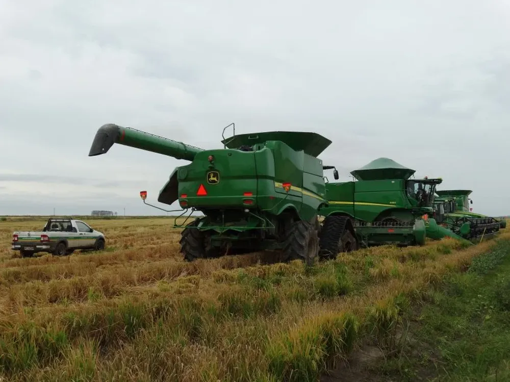 Un panorama habitual en estos días: las cosechadoras esperando poder ingresar a las chacras.