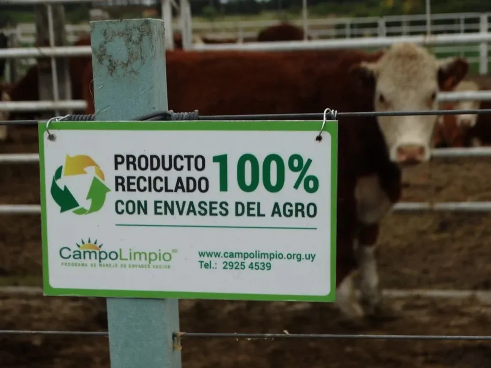 Campo Limpio tiene cada vez más incidencia.