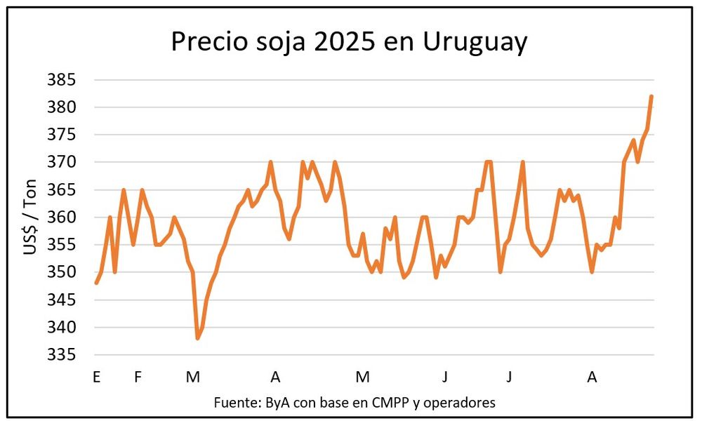 Soja: mejoró el precio, pero no queda mucho por vender.