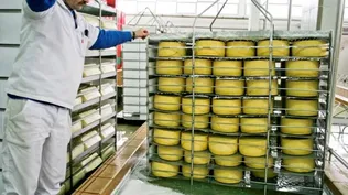 Las exportaciones de lácteos durante el primer semestre aumentaron 24% sobre igual período de 2013