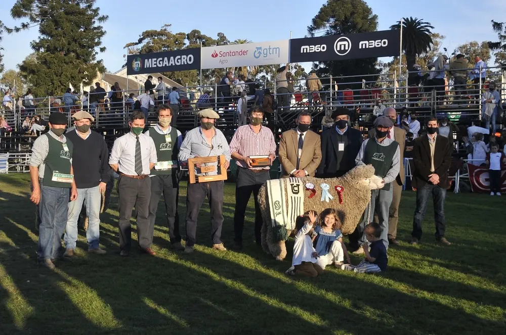 Gran Campeón Corriedale PI.