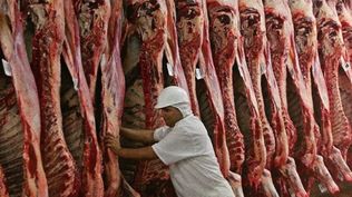 ¿Carne argentina, entre las más baratas del mundo?: en Brasil y Paraguay cuesta menos pero EEUU paga 82% más