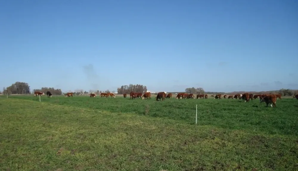 La tecnología es clave en el sector agropecuario