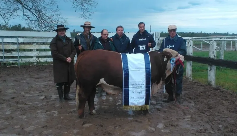 El Gran Campeón Braford fue de El Telégrafo