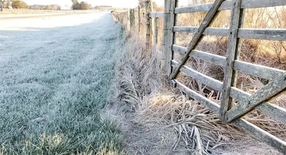 la semana comienza con heladas y minimas de -1ºc, segun inumet