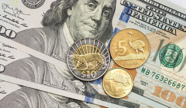 Pesos y dólares. 