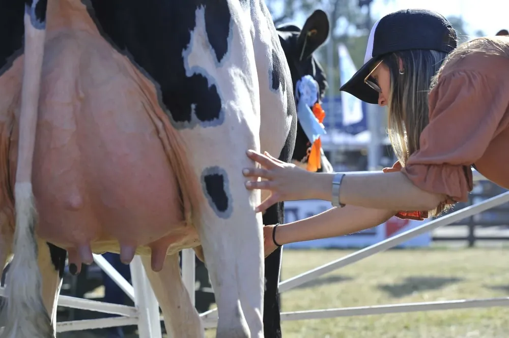 La jura del Holando se hará el jueves 14.