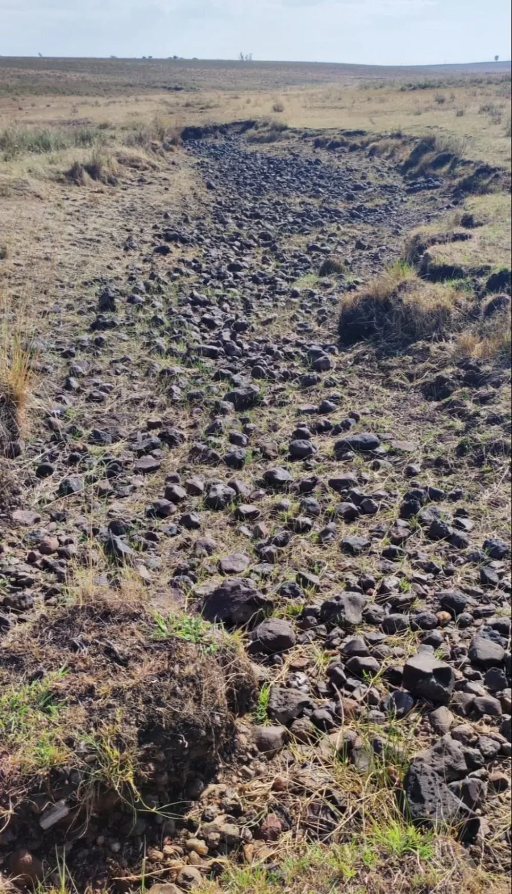 Foto tomada este miércoles 11 de enero de 2023 en Salto.