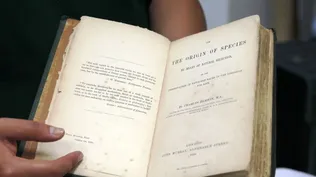 El valor alcanzando por el libro fue récord para la casa de subastas mexicana
