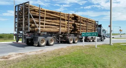 Puerto elevó 21% su actividad en primer trimestre gracias al empuje de la madera