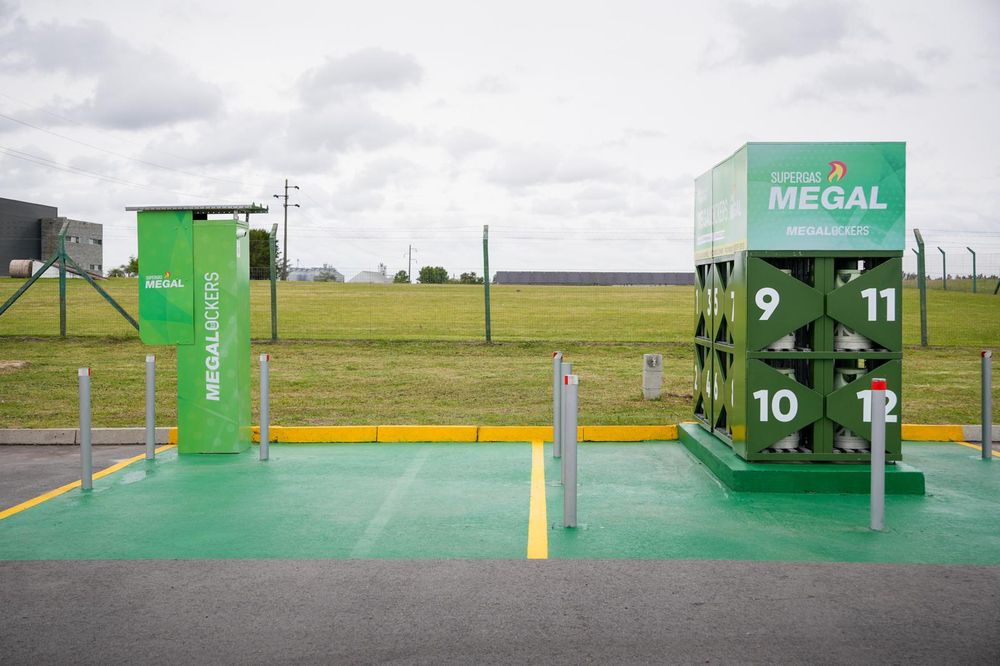 WhatsApp Image 2025-11-07 at 10.59.04 AM