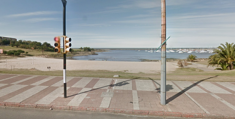 Orilla de la rambla del Buceo en el cruce de la calle 26 de marzo. (Archivo)