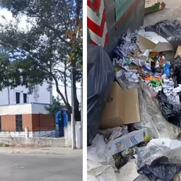 Es un asco, por acá ingresan los niños: vecinos denuncian contenedor desbordado frente a una escuela de Montevideo