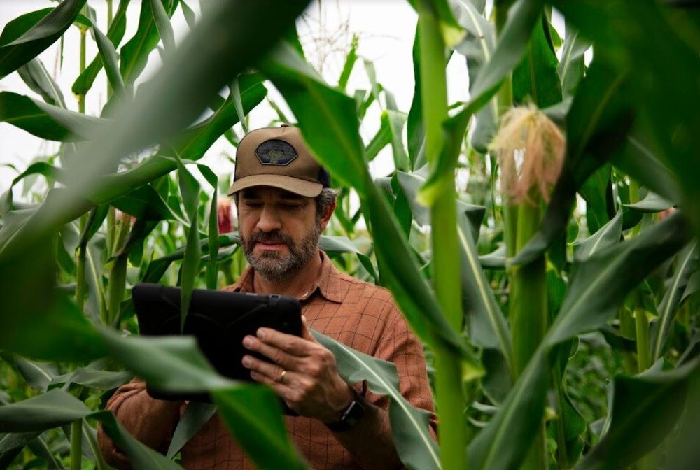 Bayer, una empresa global con competencias atender la salud y la agricultura.