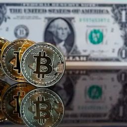 en vivo | cotizacion dolar cripto hoy domingo 26 de octubre de 2025 en vivo | cotizacion dolar cripto hoy domingo 26 de octubre de 2025
