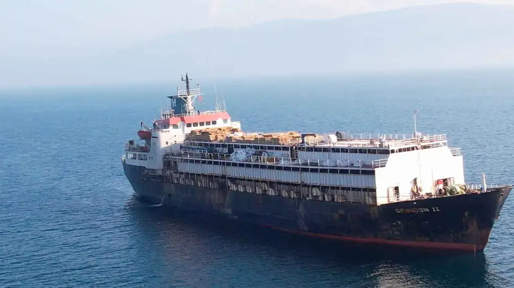 Vacunos confinados en el buque Spiridon II, de bandera togolesa, regresan al puerto de Montevideo luego de prohibirse su desembarco en el puerto turco de Bandirma, en el mar de Mármara.