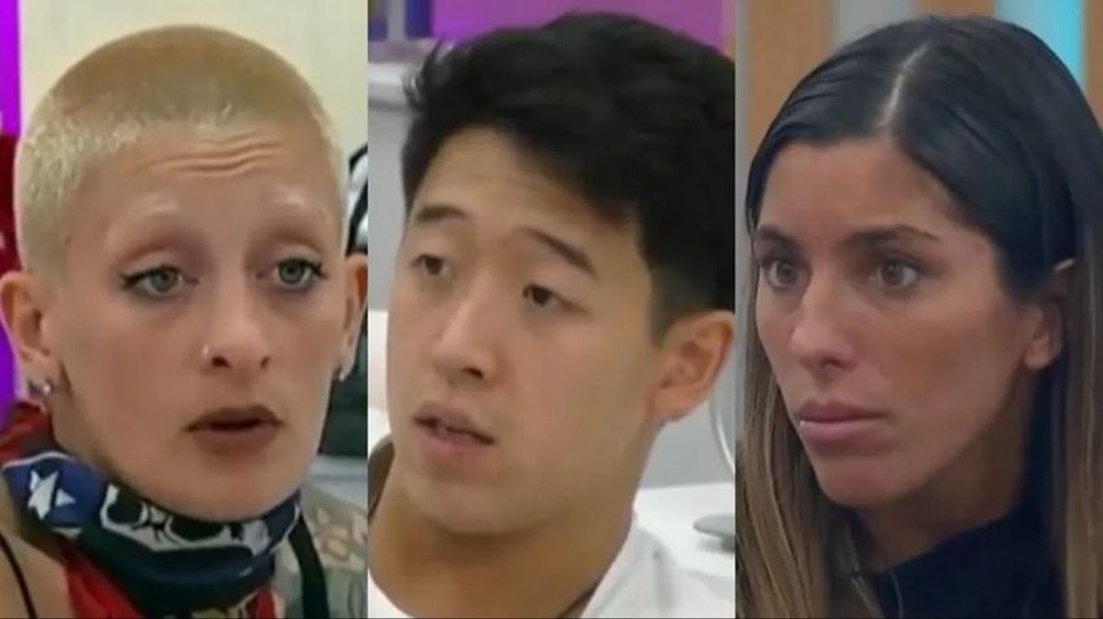 Furia, Martín y Cata