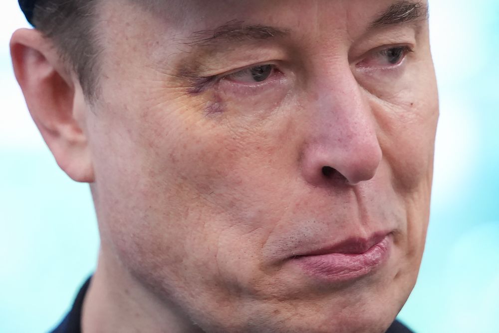Elon Musk. AFP.jpg