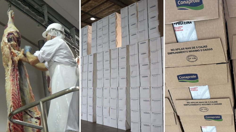 Exportaciones de carne bovina, celulosa y lácteos arriba en la lista de lo que Uruguay más embarca.