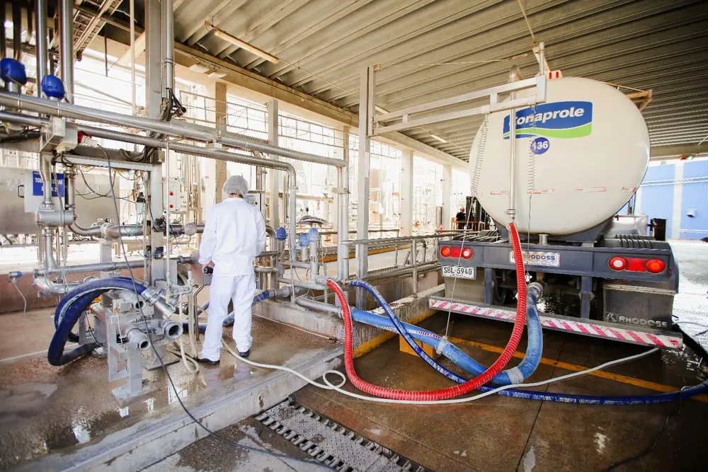 Descarga de leche cruda en complejo industrial de Conaprole.