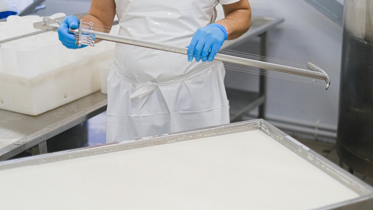 Cámara de la Industria Láctea denunció medidas sindicales desproporcionadas en al menos cinco empresas