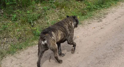 El Observador | 1654866480276.webp