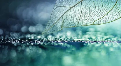 Existe una variedad de investigaciones y hechos que muestran que la sustentabilidad representa valor para las empresas