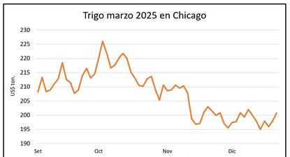 Mercado de granos, Blasina y Asociados.