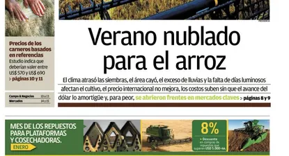 El Observador | 0003750204.webp