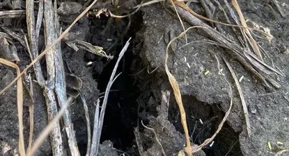 Los especialistas señalan que lo que se viene será “la peor campaña de los últimos 12 años”