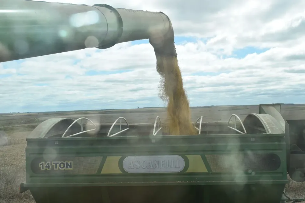 Con una soja a unos US$ 500, eso implicaría un ingreso de divisas por unos US$ 1.100 millones en 2021.