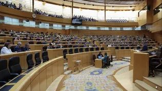 El senador del PP Luis Javier Santamaría interviene en el pleno del Senado .