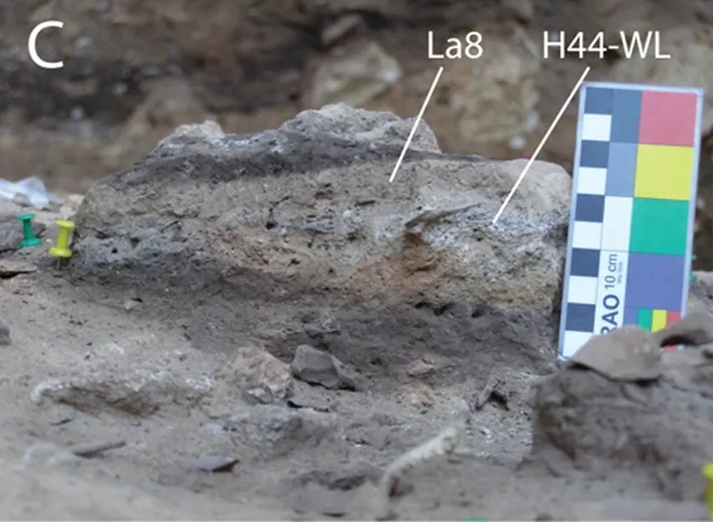 Las muestras fecales más antiguas, señaladas en esta imagen, fueron encontradas en España