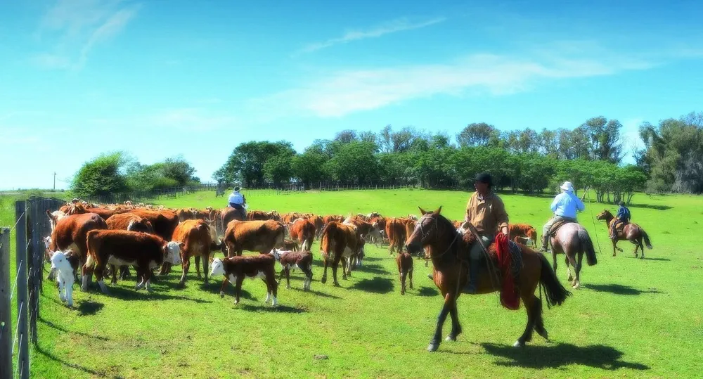 El campo, una buena opción para las vacaciones