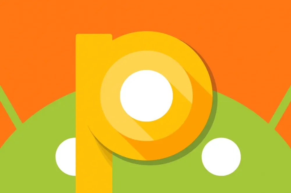 0024805650.webp