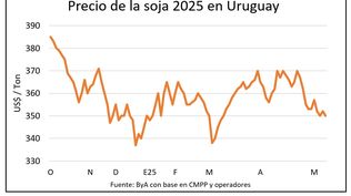 Mercado de granos, Blasina y Asociados.