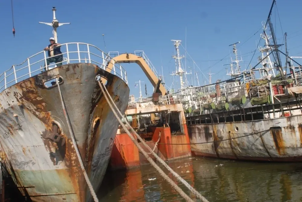 En el primer semestre de 2011 aumentaron las exportaciones de pescado