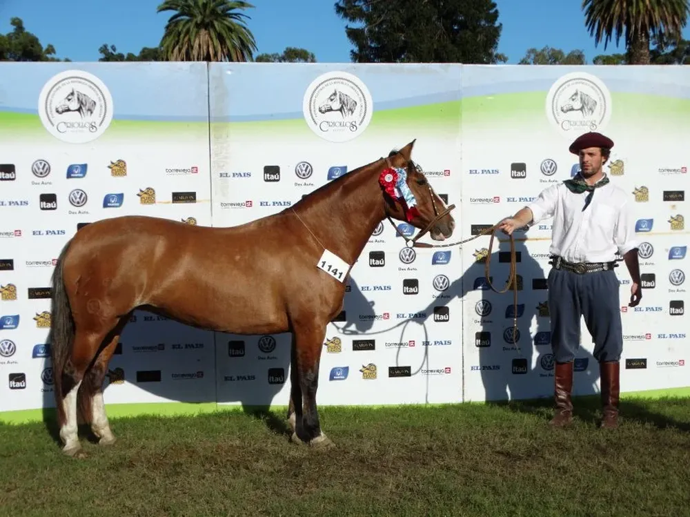 La Gran Campeona, de La Constancia.