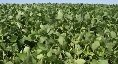 El Observador | 0015095583.webp