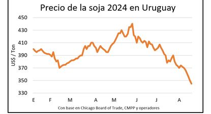 Mercado de granos.
