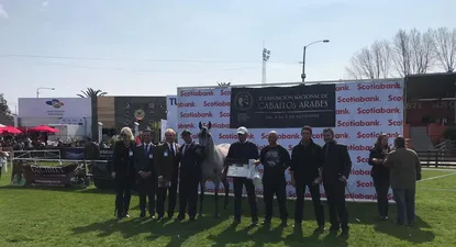 La Gran Campeona, hija del Excalibur Ea.