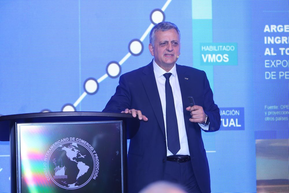 Horacio Marín, presidente de la petrolera argentina YPF, durante su exposición en el CICyP.